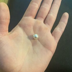 🤍🌊AUTHENTIC UNMODIFIED INTACT AKOYA PEARL🌊🤍